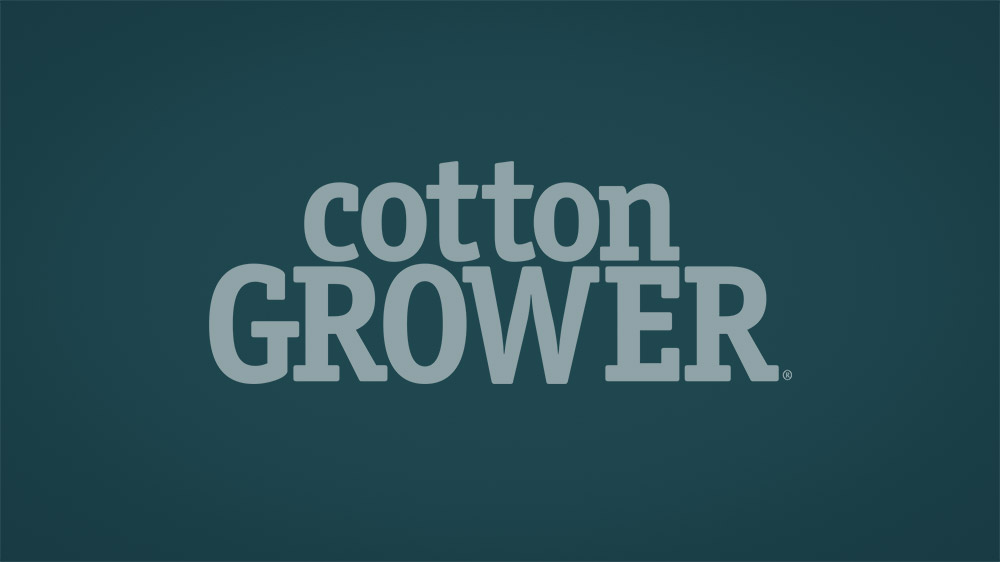 At Current Prices, Cotton Is a Speculative Market. And That's Okay. - Cotton  Grower