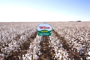 Balancing New Varieties with Established Varieties