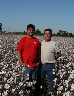 Staying with Cotton