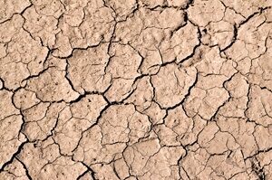 Texas Dryland Acres Suffer Through Drought