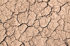 Texas Drought
