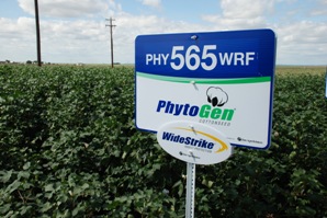 Phytogen Builds Market Share