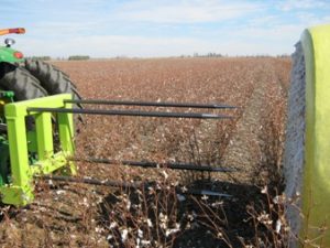 KBH Cotton Spear