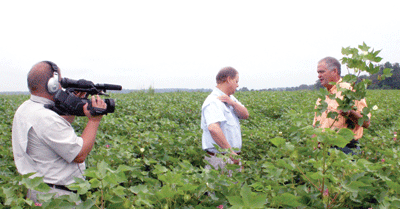 NPE Growers Put New Varieties To The Test
