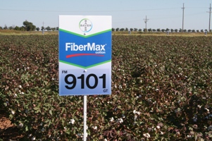Bayer Extends Acreage Lead