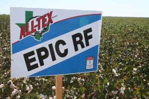 All-Tex: Research Pays Off