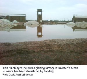 Sindh Agro ginning factory devastated by floods