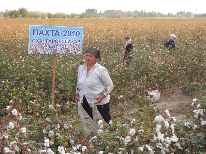 Uzbek Cotton and Textile Fair to Kick Off in October