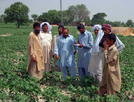 Yarn Imports Causing Upheaval For Raw Cotton