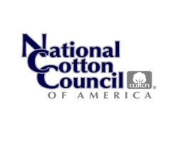 NCC Commends Timely Implementation of STAX for Cotton