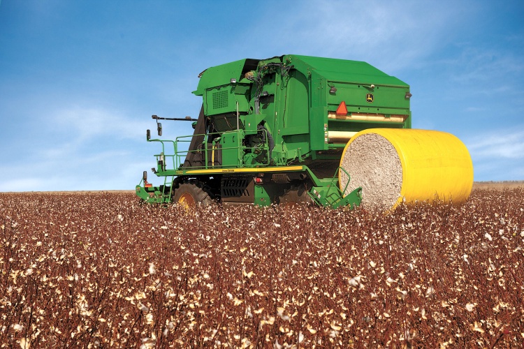 Cotton Harvest Looking Good in Lower Rio Grande Valley
