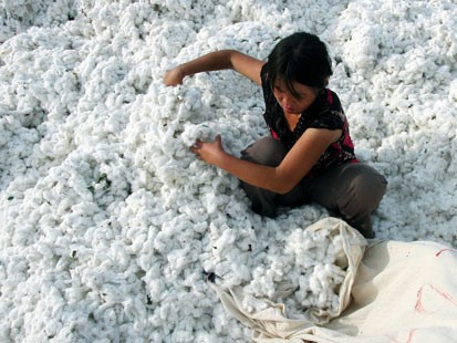 NCC: Eliminate Forced Labor in Global Cotton and Textile Production