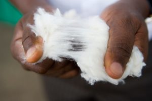 Cotton Made In Africa
