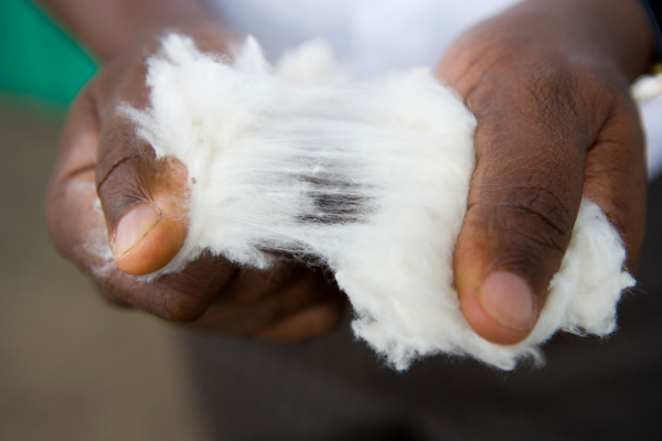 Indian Company Debuts Cotton for Technical Textiles