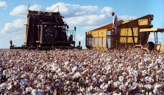 “Brazil’s Cost” Offset by Wealth of Advantages