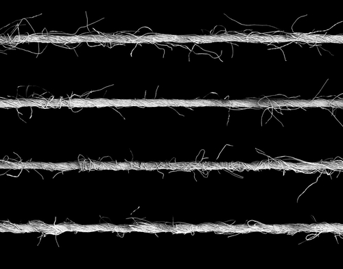 Reiter Seminar Discusses Up-to-Date Spinning Technologies