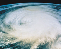 Tropical Storm Isaac is Cause for Delayed Defoliation
