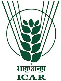 Bt Cotton Found to be Infected with Monsanto’s Gene
