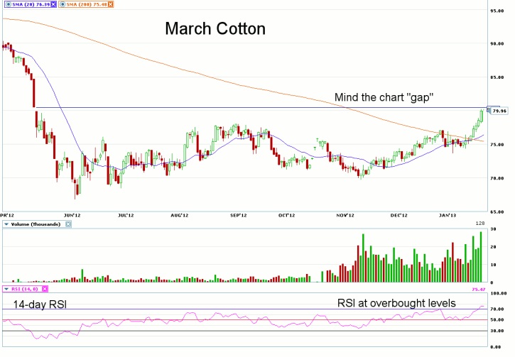 Cotton Prices Hit 7-Month High After Buyers Reject Chinese Reserve