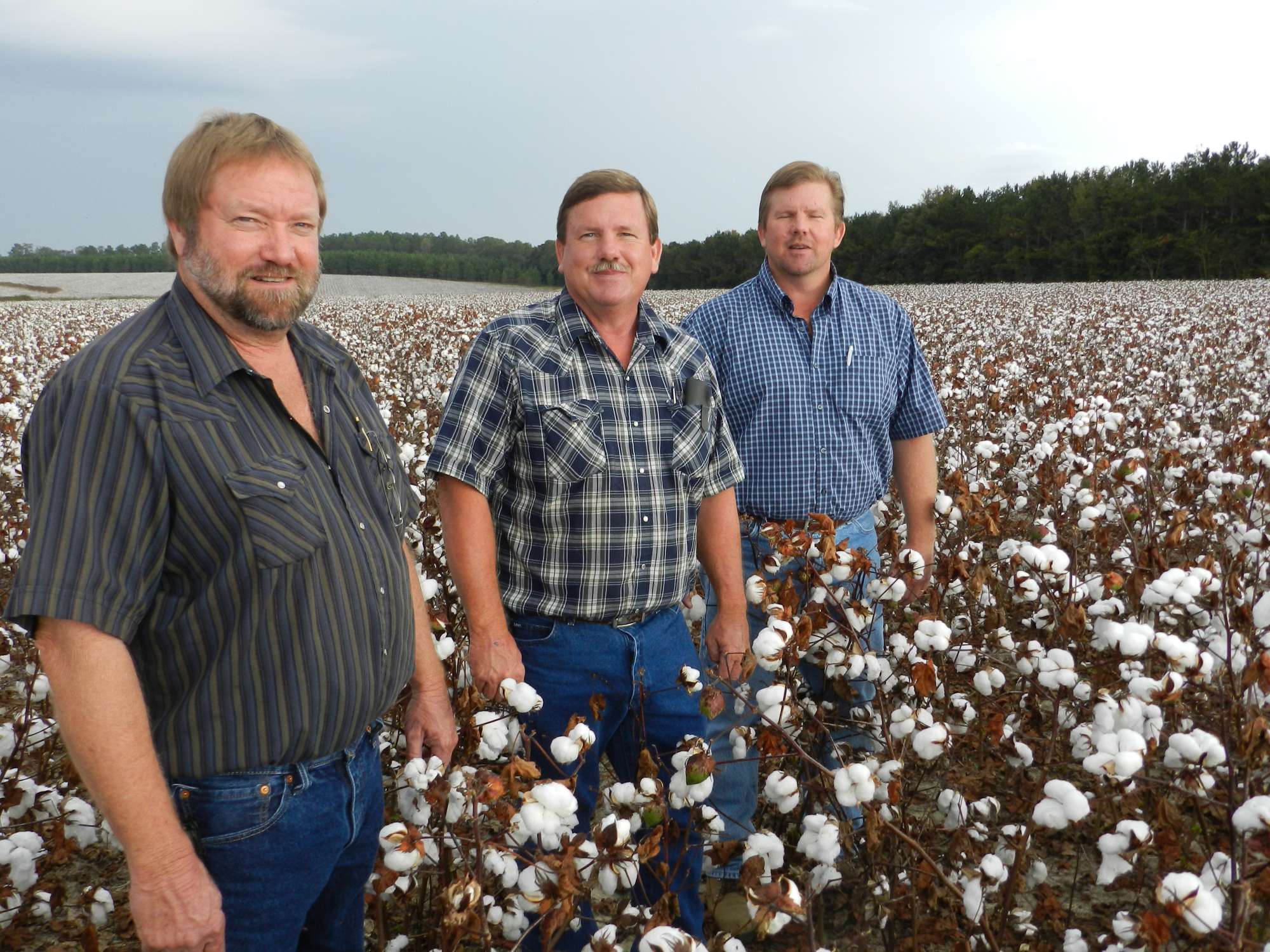 Florida Brothers Focus on Yield and Weeds