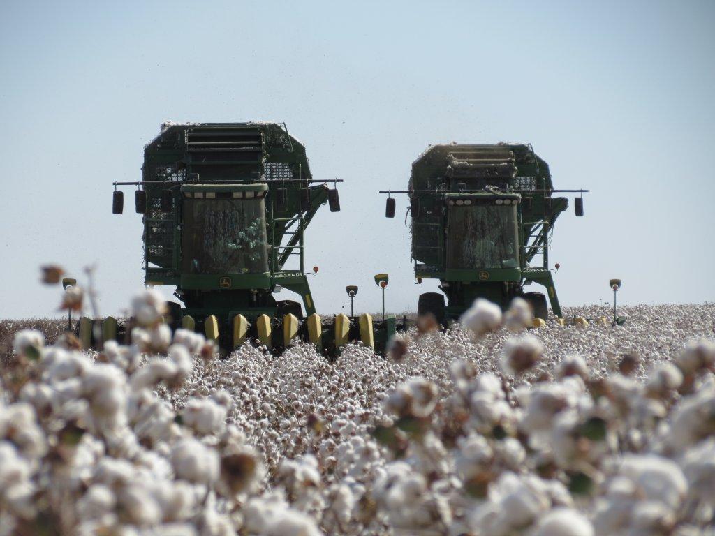 USDA Projects 10 Million Cotton Acres for 2013