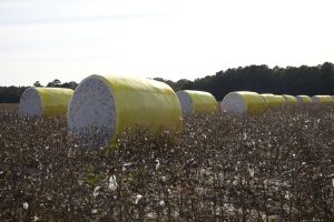 Round modules in field