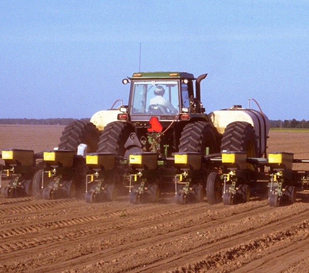 Georgia Cotton Enterprise Budgets Available Online