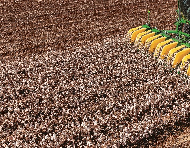 Southeast Cotton Producers to See Texas Operations during P.I.E. Tour
