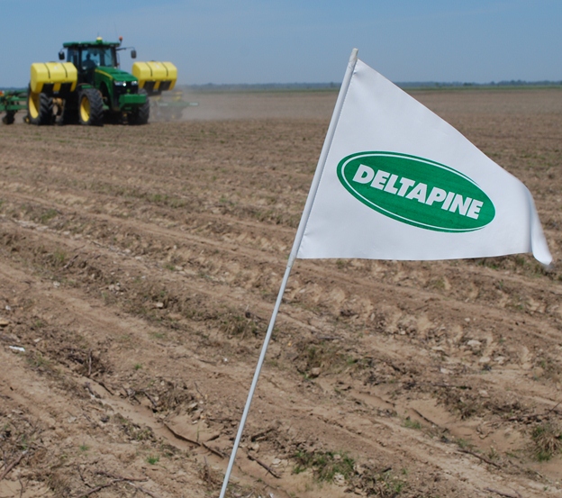 Deltapine NPE Growers Begin Evaluating Variety Candidates for Class of 15