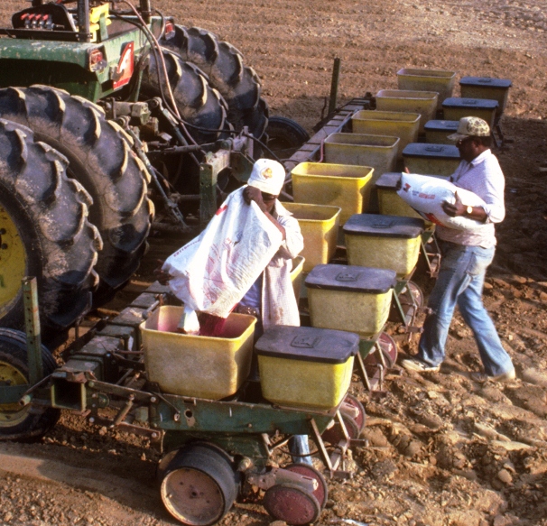 USDA Says Cotton Planting Nearly Complete, Early Crop in Good Shape