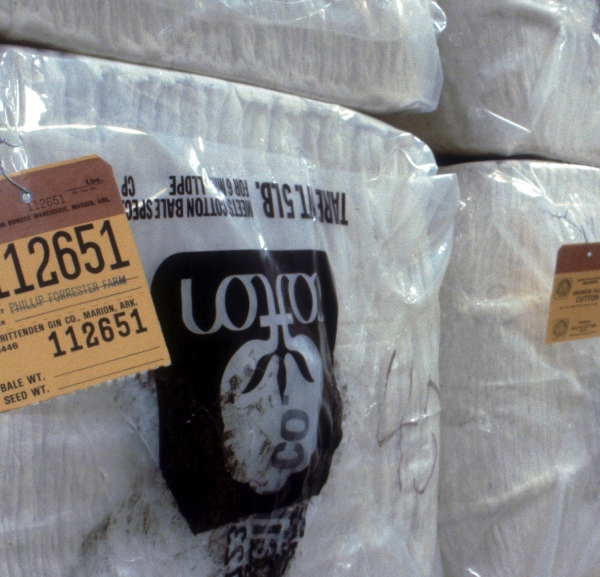 High Quality Cotton Pays Off for the U.S.