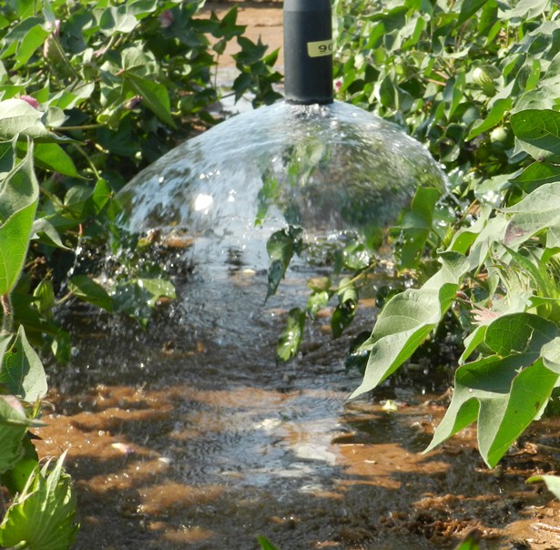 Water Issues Often Leave Growers Feeling High and Dry