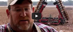 Georgia Cotton Growers Make Big Yields with Full-Season Variety