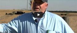 Super Weed Control in Georgia Cotton with ST6448GLB2