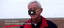 TwinLink Provides Excellent Worm Control in Cotton