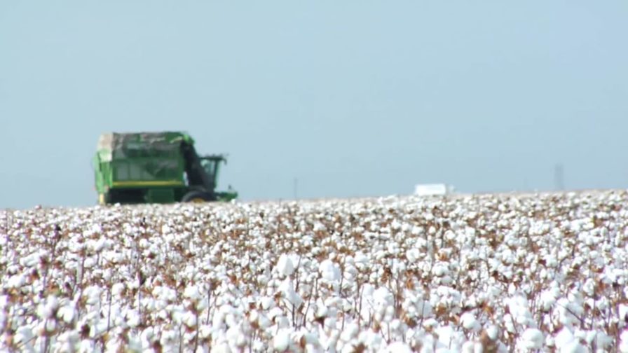 USDA Announces 2018 Loan Rate Differentials