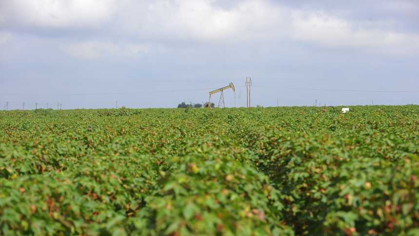 Southeast, Western Cotton Growers Set for Texas P.I.E. Tour