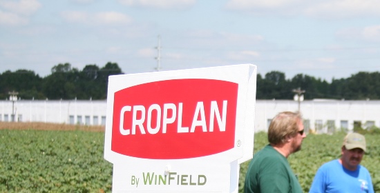 New 2015 CROPLAN Cotton Varieties Feature Bollgard II XtendFlex Technology