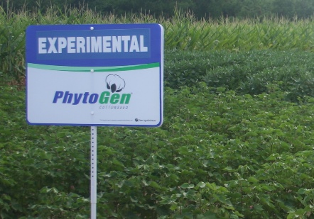 PhytoGen Releasing First Enlist Cotton Variety for 2016