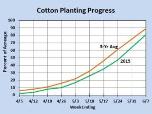 Shurley Graph June11 Web
