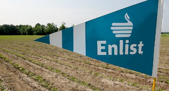 Ninth Circuit Court Upholds Enlist Duo Registration