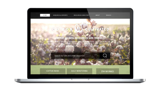 cotton cultivated computer