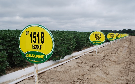 Monsanto Donates Research Center to Local Foundation