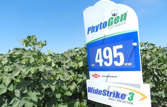 2016 Seed Showcase – PhytoGen