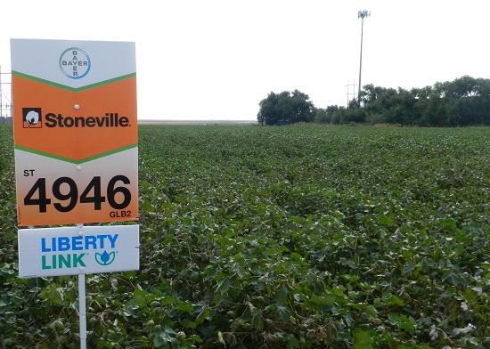 2016 Seed Showcase – Bayer CropScience