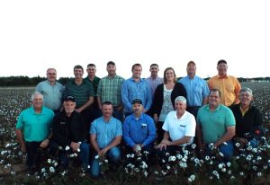 MCEP Group Web