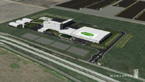 Monsanto-Rendering Web