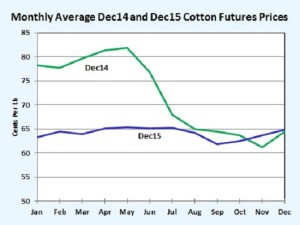 Shurley Graph Jan25 Web