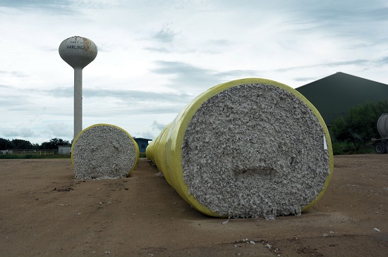 Sale of Nation’s First Cotton Bale Helps Fund Scholarships