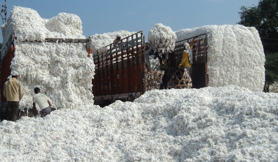 Better Cotton Initiative Joins ISEAL Alliance